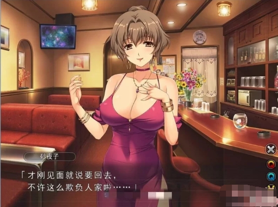 妻中蜜：1+2+3+番外 合集！完整汉化版[存档+CG包+动画][NTR大作/8G]