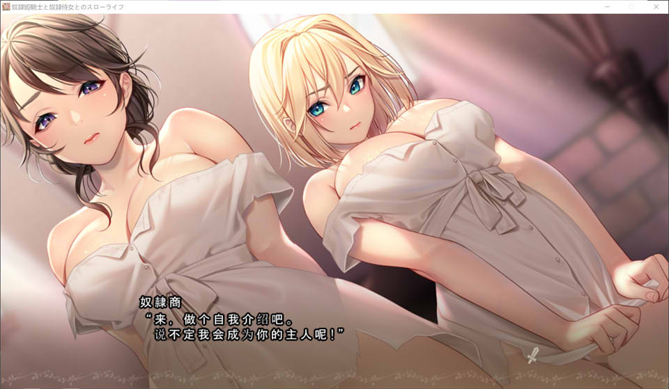 [拔作ADV]奴隷姫騎士と奴隷侍女とのスローライフ 奴隶公主骑士与奴隶侍女的慢生活[4K-CG集1.82GCV]