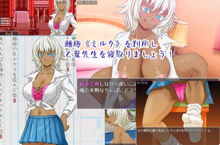 [日系] 乙叶的出轨日记 Ver1.06 AI汉化挂载版[新汉化/1.3G]