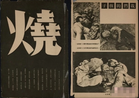 [历史类] [转载搬运] 《日寇暴行实录》南京大屠杀罪行照片电子版PDF [53P+194.42MB][百度盘]