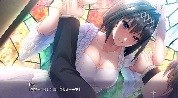 [ADVAI汉化]TO・RA・WA・SE~被囚禁的伪妃梦见的初夜~ AI汉化版+特典[电脑1.75G]