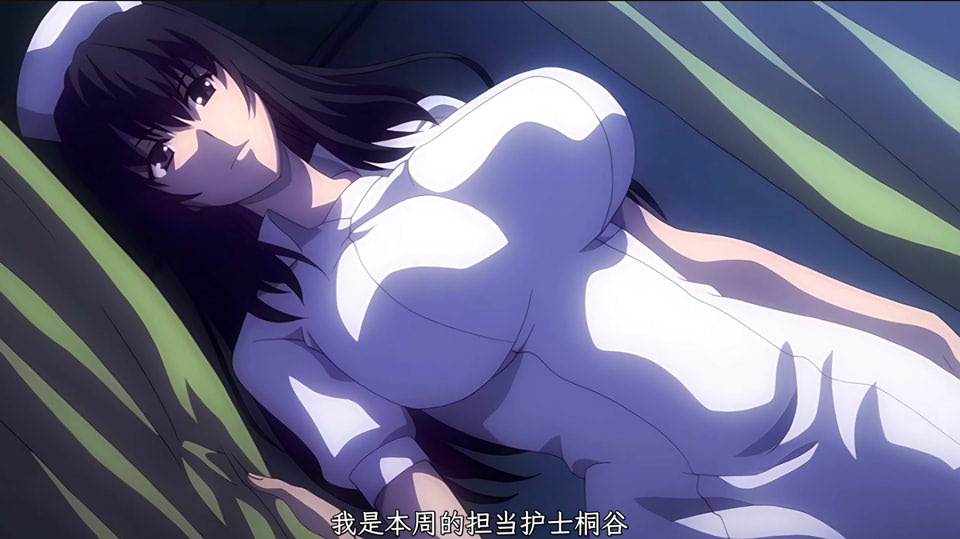 2024年1月更新：23年12月鲤鱼蕃薯1080P汉化合集+前作★全CV[新整合/6.2G]