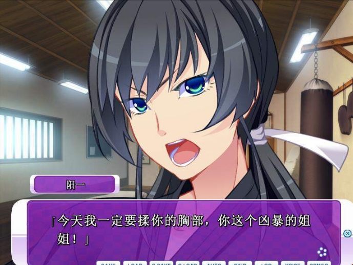 [日系] 姐姐C眠前后变化 AI汉化版+全CG存档★全CV[新汉化/1.3G]