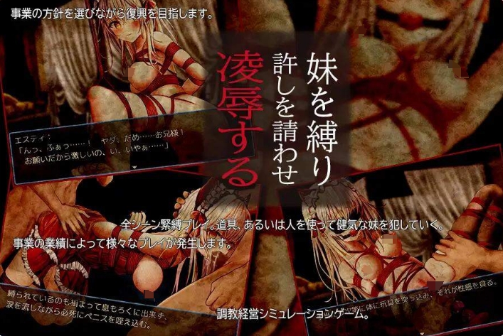 [日系] 兄妹危险的红线 AI汉化挂载版+全回想存档[新汉化/1.2G]