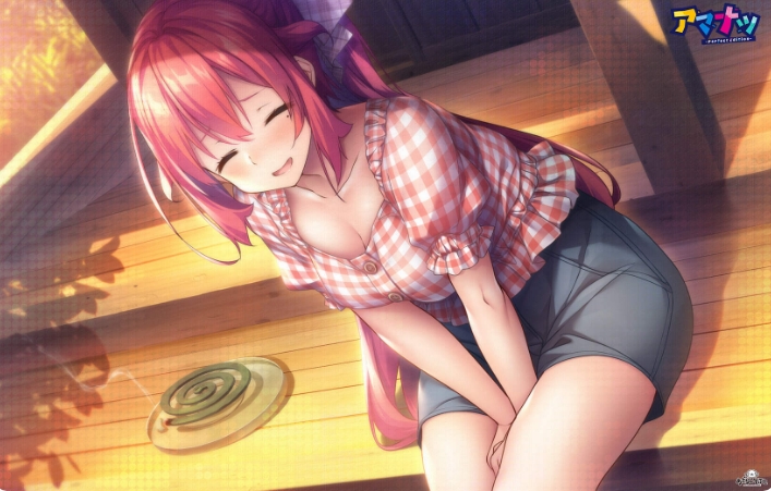 [日系] 甜蜜夏日~Perfect Edition AI汉化润色版+全CG存档★全CV[新汉化/6.8G]