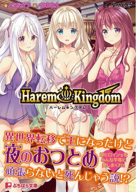 [日系] 后宫王国 HaremKingdom V1.02+α精翻汉化版+存档★全CV[新汉化/3.7G]