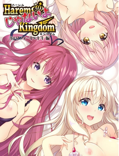 [日系] 后宫王国FD1 光-索菲娅-琪琪篇 精翻汉化版+全CG存档★全CV[新汉化/2.2G]