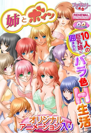 [日系] 姐姐和欧派 AI汉化版+全CG回想★全CV[新汉化/1.3G]