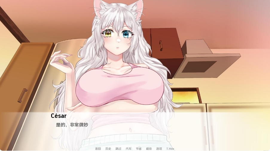 [欧美] 猫女-涅槃米糠 Nezumicon V1.10 AI汉化版[PC+安卓][5月更新/1.4G]