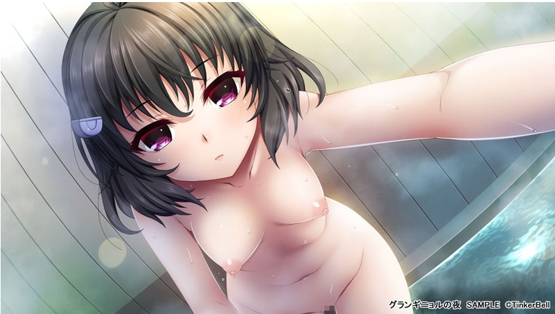 [日系] 夜之魅影的夜晚 AI汉化版+全CG存档★全CV[新汉化/2.7G]