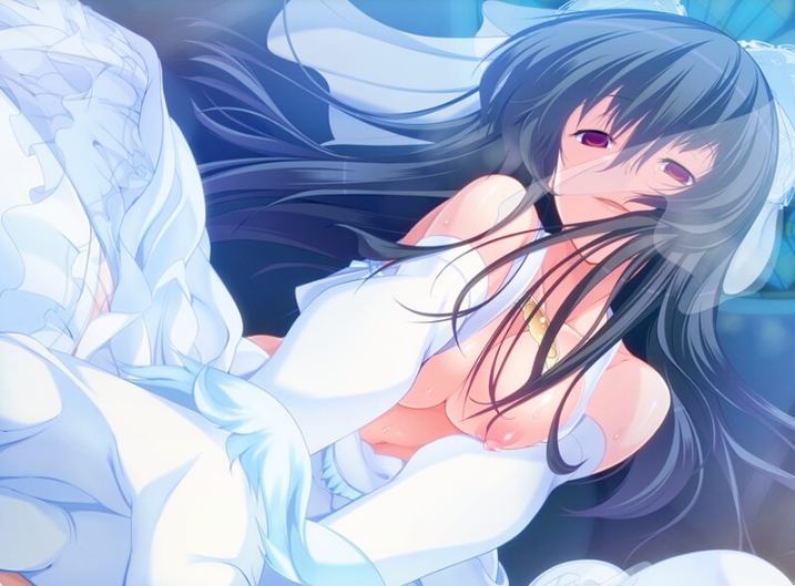 [日系] 病态姐姐对弟弟的养育日记 AI汉化版+全CG回想★全CV[新汉化/1.4G]