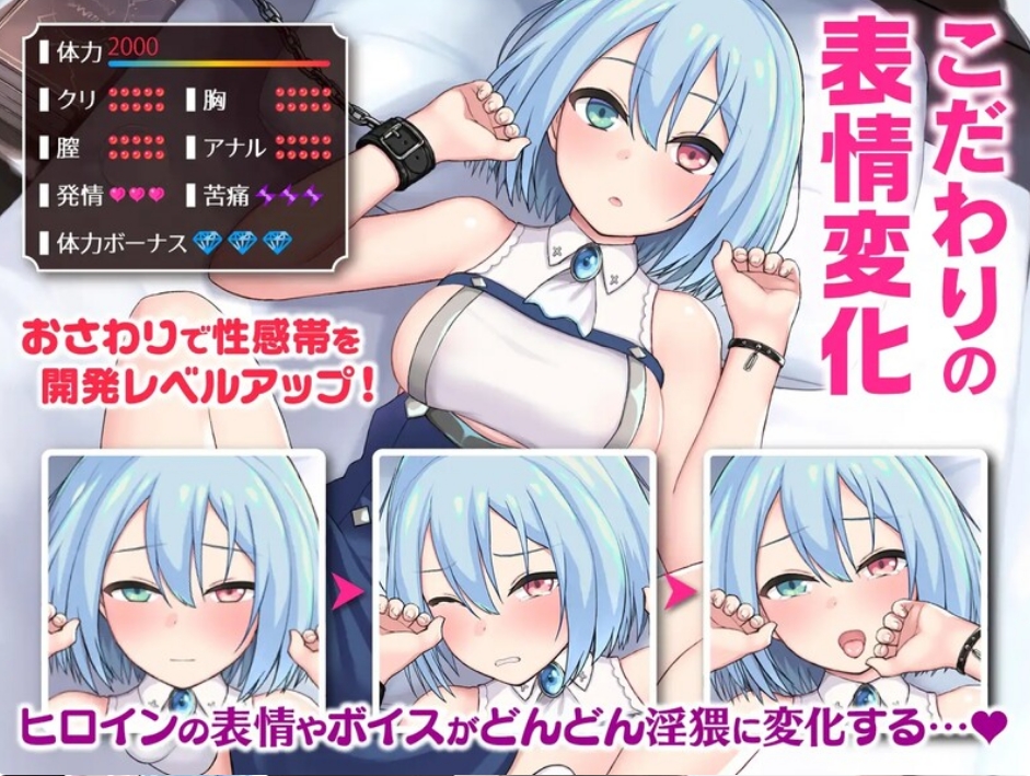 [日系] 帝国后宫计划 V1.0 官方中文无修版+全CG回想★全CV[新作/2.4G]
