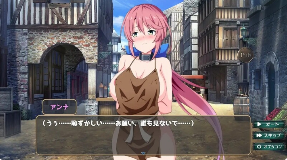 [日系] 骑士安娜 -绒布球教育记录- AI汉化挂载版+全回想存档[新汉化/1.2G]