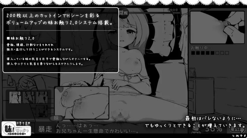 [日系] 妹相随~黑白世界的缤纷冒险 AI汉化版+DLCV2.0+存档[6月大更新/1.4G]