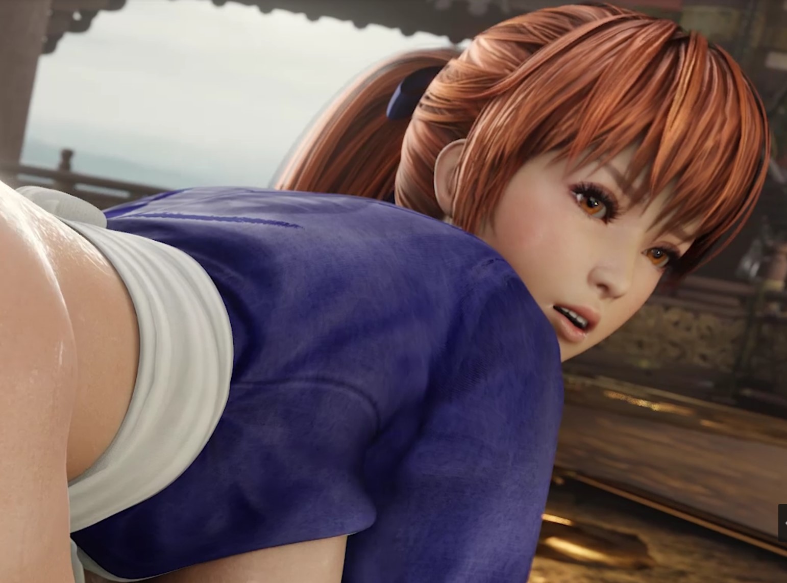 AXENANIM大师3D：整合2024年8月更新整合爱丽丝+霞[2p-1.3g]