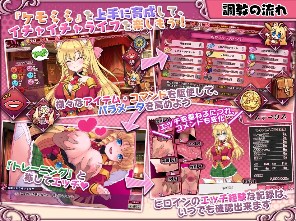 [日系] 兽耳☆训练~狂暴兽耳大小姐的教育试验 精修汉化版+存档[新汉化/1.4G]
