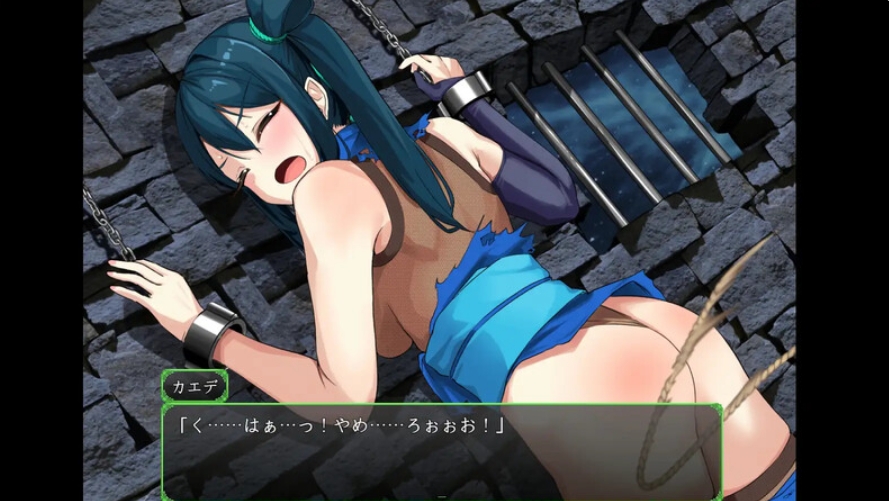[日系] 女忍枫 AI汉化版+全回想存档[8月新作/1G]