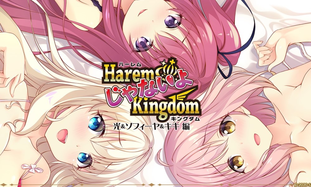 [日系] HaremKingdom：异世界后宫篇+FD1+FD2 精翻汉化版+存档攻略[/7.2G]