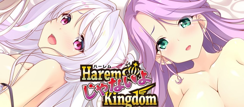 [日系] HaremKingdom：异世界后宫篇+FD1+FD2 精翻汉化版+存档攻略[/7.2G]