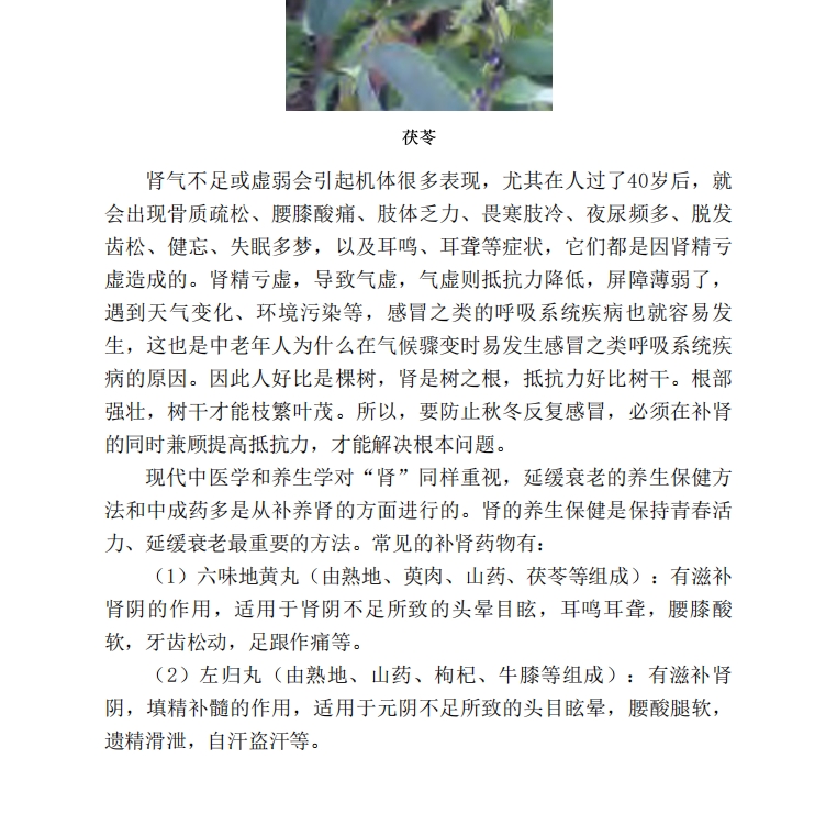 古中医治肾秘方，肾气恢复让你重回巅峰一日擎天[转载搬运] 国医绝学家庭使用手册 (传统中医、中药常识+简便按摩、拔罐、刮痧、艾灸养生方法 [2个文件+44.7mb]