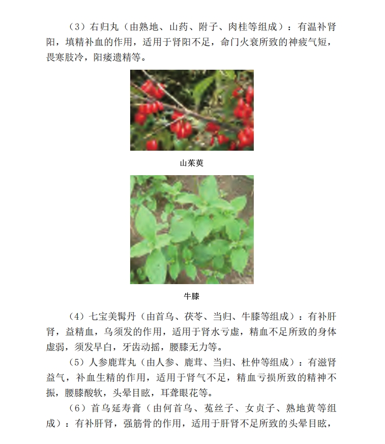 古中医治肾秘方，肾气恢复让你重回巅峰一日擎天[转载搬运] 国医绝学家庭使用手册 (传统中医、中药常识+简便按摩、拔罐、刮痧、艾灸养生方法 [2个文件+44.7mb]