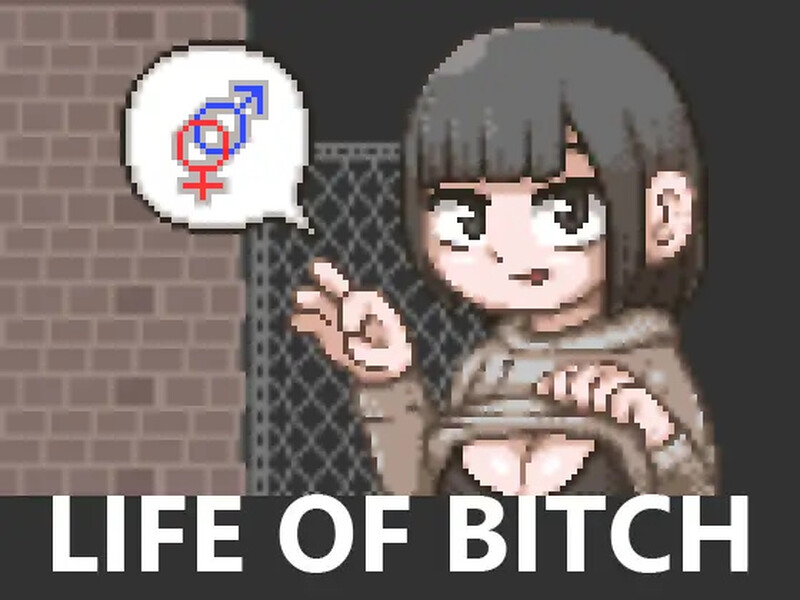 【探索SLG/像素全动态/汉化】婊子的生活(LIFE OF BITCH)V1.0 机翻汉化【400MB】