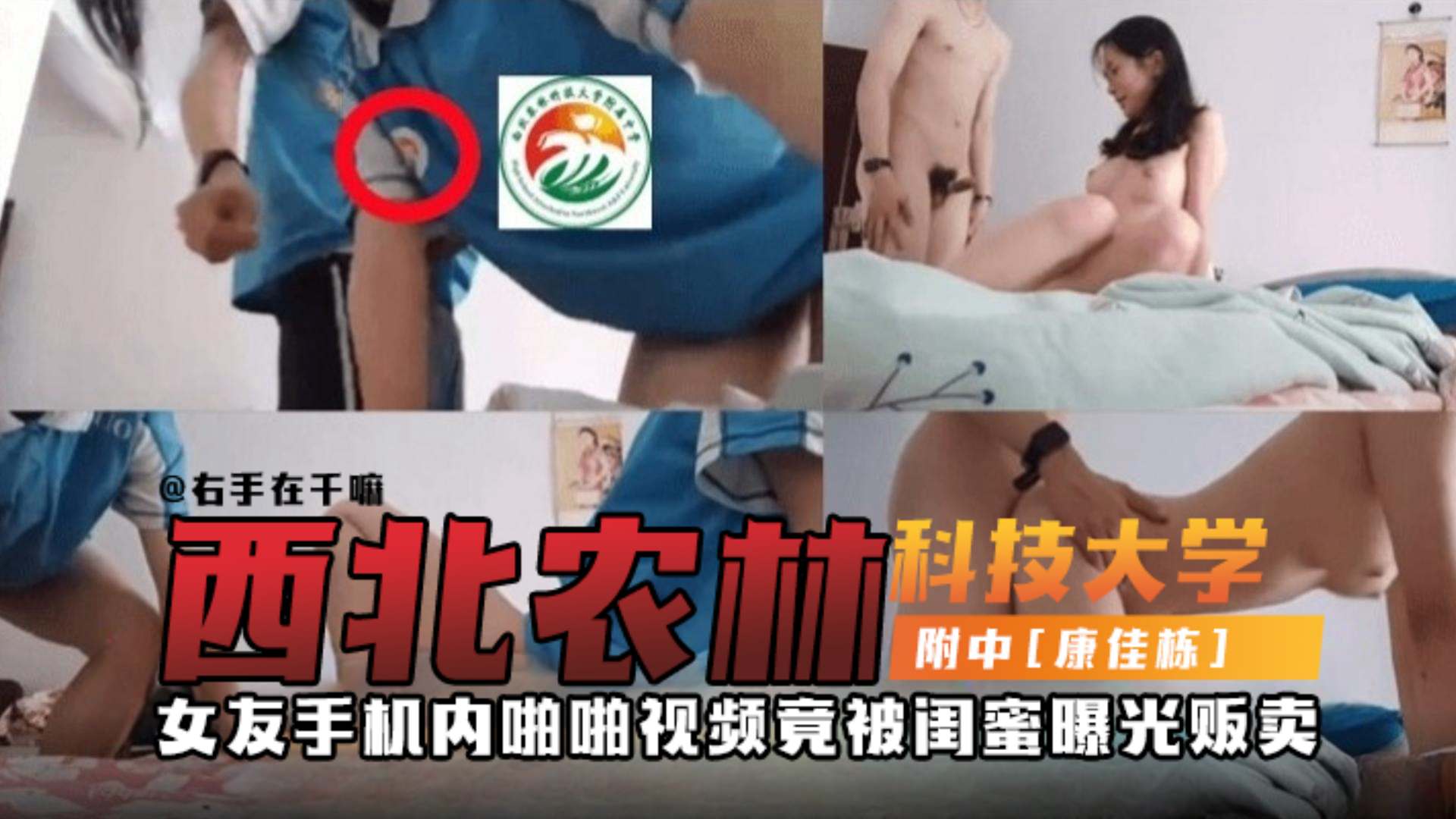 网曝西北农林科技大学附中黑料