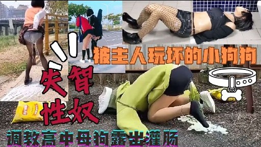 被主人玩坏的小狗狗详情介绍