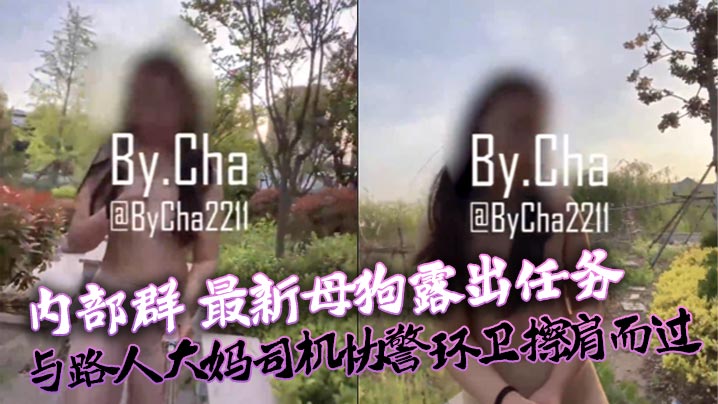 查小理内部群最新母狗露出任务与路人大妈司机协警环卫擦肩而过详情介绍