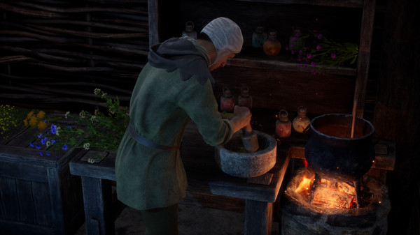 中世纪王朝|官方中文|V2.3.0.4+全DLC-生存经营+修改器|解压即撸|