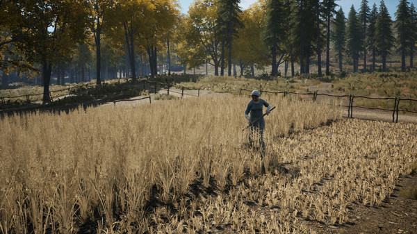 中世纪王朝|官方中文|V2.3.0.4+全DLC-生存经营+修改器|解压即撸|