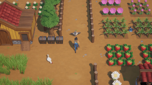 珊瑚岛|官方中文|Build.17274952-重要更新-沙盒|解压即撸|
