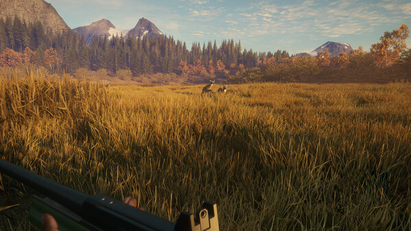 猎人 荒野的召唤|官方中文|Build.16443565+猎人火力包DLC+全DLC|解压即撸|