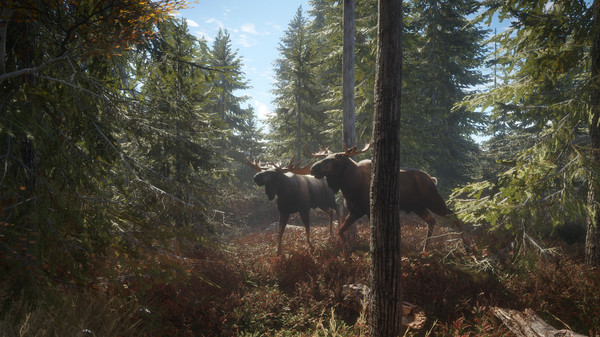 猎人 荒野的召唤|官方中文|Build.16443565+猎人火力包DLC+全DLC|解压即撸|