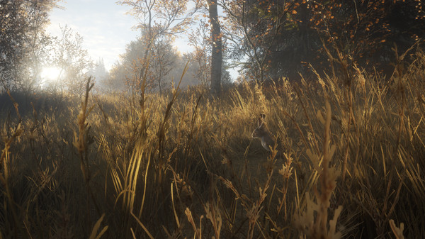 猎人 荒野的召唤|官方中文|Build.16443565+猎人火力包DLC+全DLC|解压即撸|