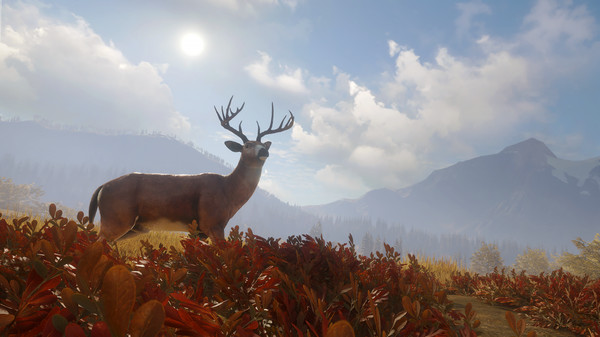 猎人 荒野的召唤|官方中文|Build.16443565+猎人火力包DLC+全DLC|解压即撸|
