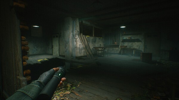 寂静之地 前路漫漫|豪华中文|Build.16484601+预购特典+全DLC|解压即撸|