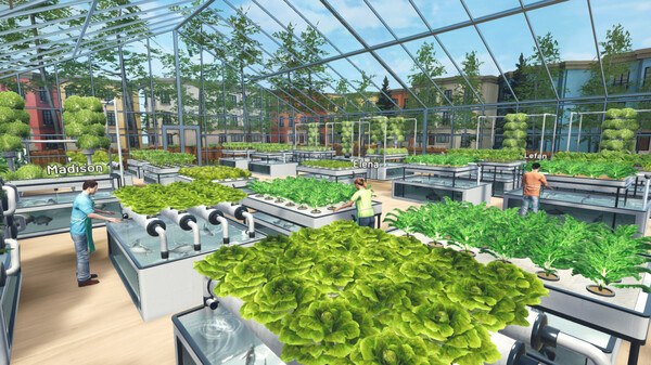 水培农场与商店模拟器 Hydroponics Farm & Store Simulator|官方中文|解压即撸|
