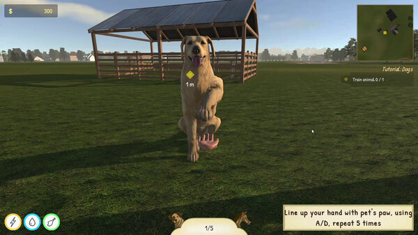 动物训导师模拟器 Animal Trainer Simulator|官方中文|解压即撸|