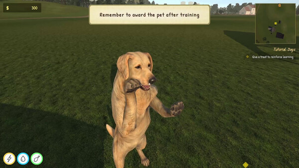 动物训导师模拟器 Animal Trainer Simulator|官方中文|解压即撸|