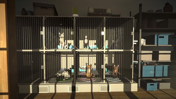 冒牌猫谜 Copycat|官方中文|解压即撸|
