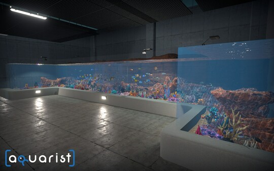 Aquarist 建造水族馆 养鱼 发展你的事业|官方中文|Build.13870405+日本花园DLC+全DLC|解压即撸|