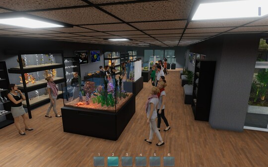 Aquarist 建造水族馆 养鱼 发展你的事业|官方中文|Build.13870405+日本花园DLC+全DLC|解压即撸|