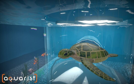 Aquarist 建造水族馆 养鱼 发展你的事业|官方中文|Build.13870405+日本花园DLC+全DLC|解压即撸|