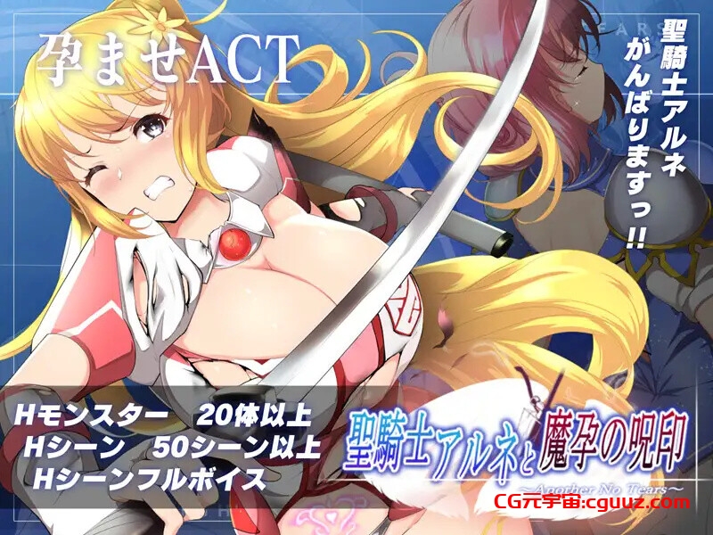 【爆款ACT/战斗H/全动态/官中】圣骑士阿恩与魔孕咒印（聖騎士アルネと魔孕の呪印～Another No Tears～）V1.0.10 DL官中【4.40G】