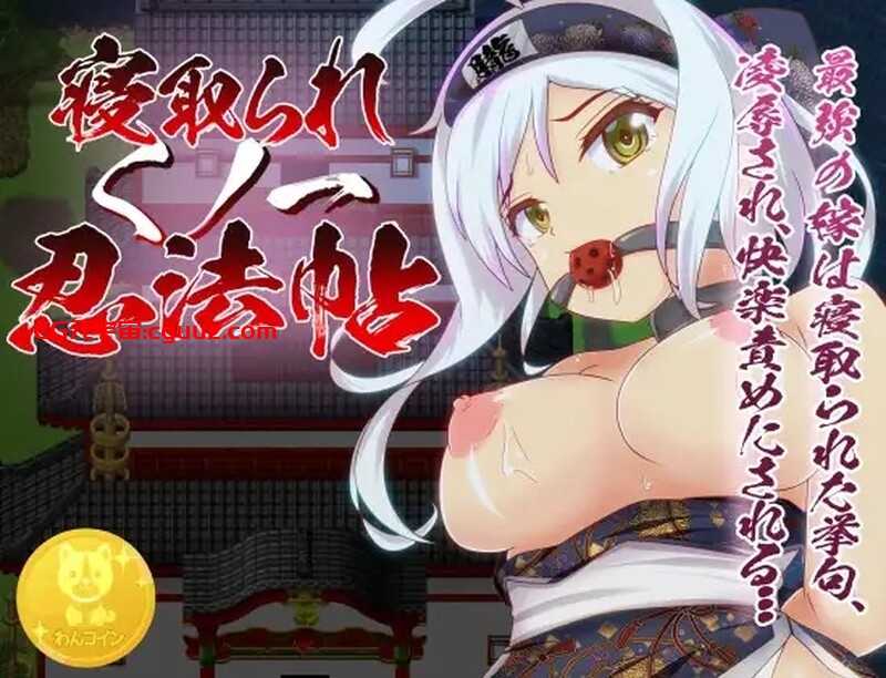 【回合RPG/动态/官中】戴绿帽子的国一忍者（Ninja Infiltration）正式版 STEAM官中【400MB】
