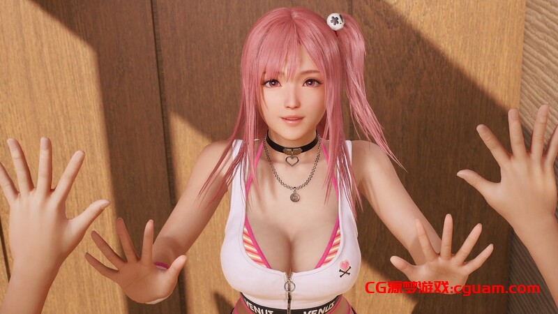 【3D/动态/巨乳/STEAM官中】维纳斯璀璨假期：死或生XTREME/Venus Vacation PRISM – DEAD OR ALIVE Xtreme -[Ver1.05+绅士MOD Ver1.2]【12.40G】
