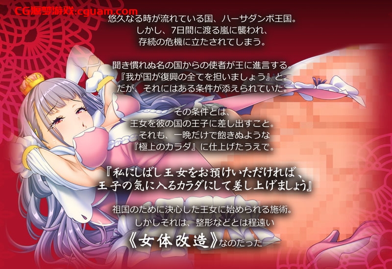 【支配改造SLG/汉化】女体狂乱公主 AI汉化版+全CG存档【新汉化/1.6G】