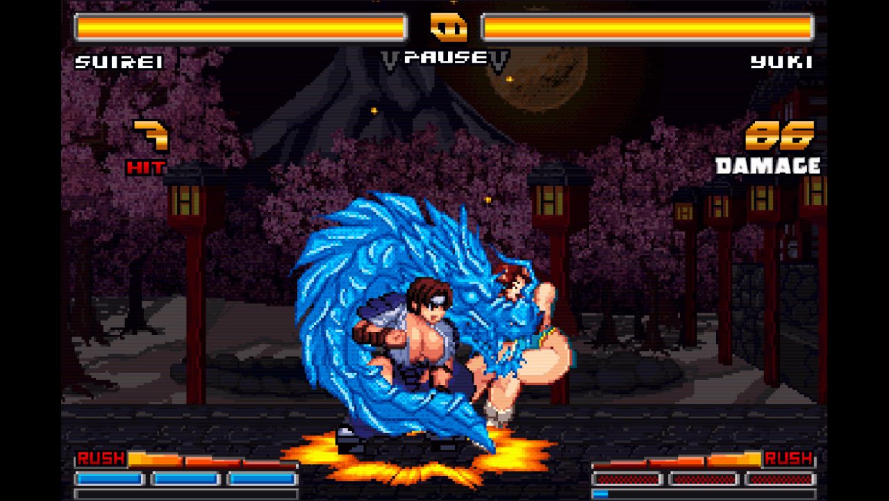 【格斗FTG/动态/官中】爆衣战士零(Strip Fighter ZERO)V1.02.00-(STEAM官中+DLC)【300MB】