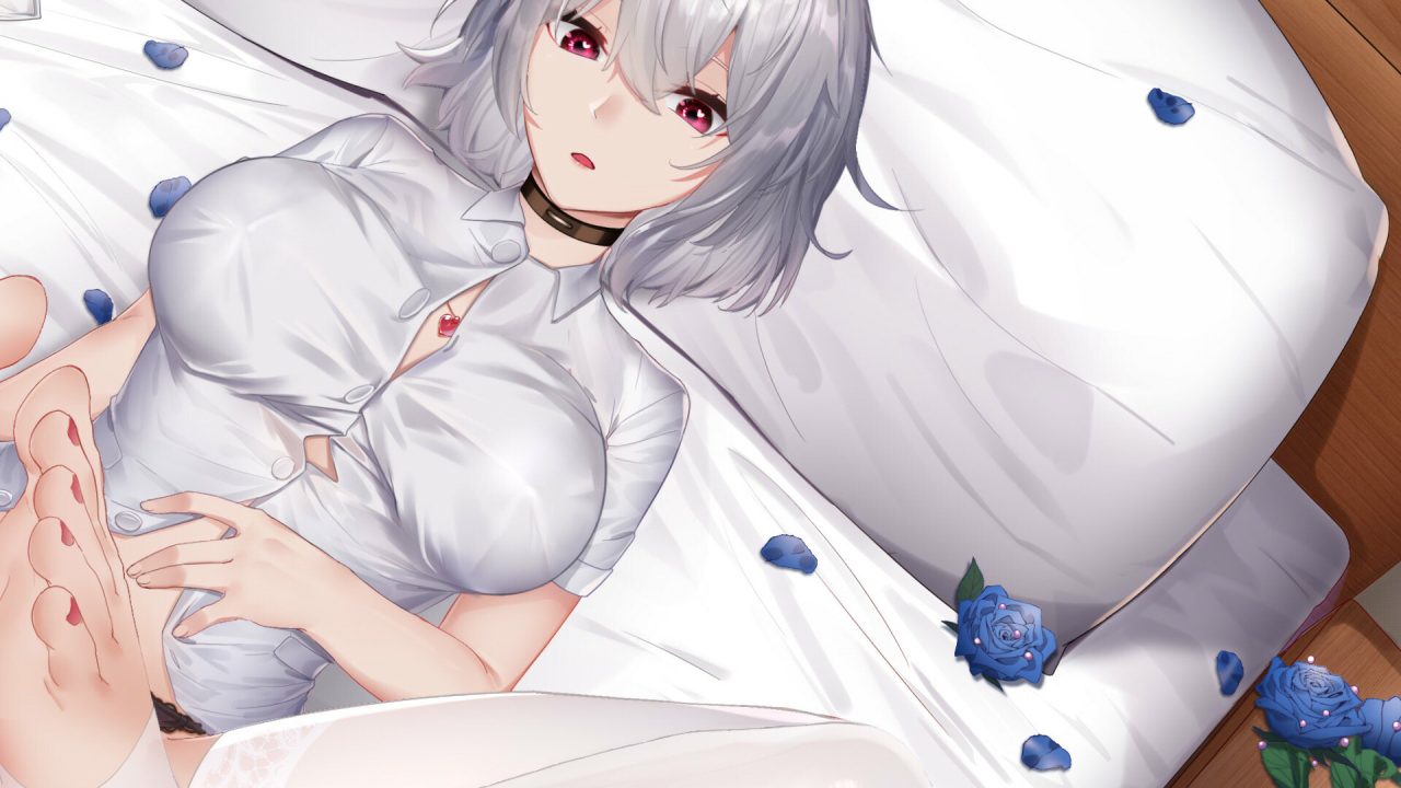 【休闲SLG/动态/官中】掉落玩偶（Drop Doll）Build.13084389-(STEAM官中+DLC扩展包)【300MB】